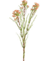 Artificial Branch Waxflower 78 cm Pink - Easyplants Artificial Plants & Flowers