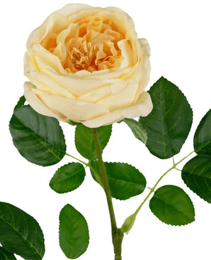 De Kunsttuinroos "Anniken" Real Touch geel 72cm heeft een bloeiende lichtgele roos met gelaagde bloemblaadjes en groene bladeren op de steel, tegen een witte achtergrond.