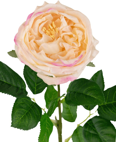 A close-up of the Artificial Garden Rose "Anniken" Real Touch peach (72cm), an artificial peach rose with delicate pink-edged petals and green leaves on a stem, against a white background.