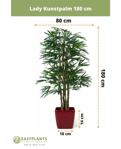 Artificial Lady Palm 180 cm in a red pot, 180 cm high and 80 cm wide; pot is 14 cm high and 18 cm wide. Brand logo plus dimensions shown - perfect as a stylish green artificial plant for any room.