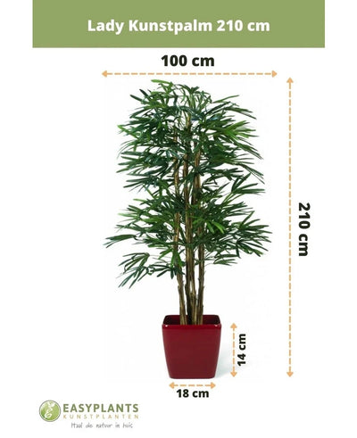 Lady Artificial Palm 210cm: This impressively realistic artificial Rhapis Palm measures 210cm high and 100cm wide in a striking red pot (14cm high, 18cm wide) - a perfect choice for stylish indoor spaces.