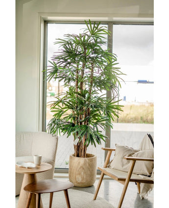 A 210 cm high Lady Artificial Palm stands next to a window in a bright, modern living room with a cushioned chair, a small round table and neutral decor.