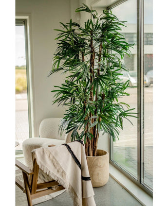 The Artificial Lady Palm 210 cm, with its long, narrow green leaves, is placed near large windows in a bright room. A white armchair and a wooden chair draped with a light blanket nearby create an inviting atmosphere.