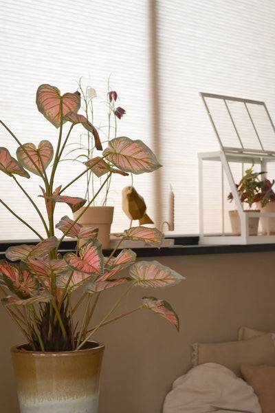 De kunstplant Caladium van 90 cm, roze met roze getinte bladeren, staat op de voorgrond op een vensterbank, naast andere planten, decoraties en een wit minikasje, allemaal badend in zacht natuurlijk licht dat de gezellige kamer vult.