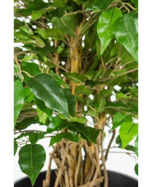 Close-up of the braided stem and green leaves of the Artificial Plant Ficus Liana 90 cm office plant against a light background.