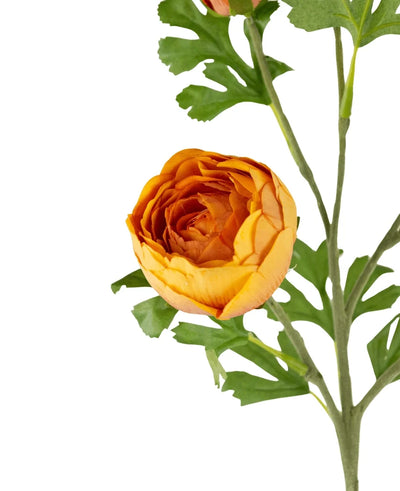 The artificial ranunculus branch x5 Real Touch orange 62cm features five artificial orange ranunculus with layered petals and green leaves on a stem, perfect for arrangements, displayed against a white background.