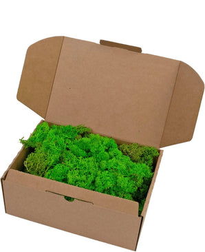 Een open bruine kartonnen doos gevuld met Rendier Mos Grass Green Light, 500 gram heldergroen geconserveerd mos, losjes verpakt en het grootste deel van de doos vullend.