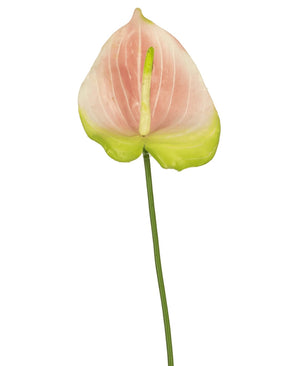 A single Anthurium artificial flower of 68 cm in pink, with a delicate pink and green flower on a long green stem, stands out beautifully against a white background. This elegant artificial flower is ideal for anyone looking for pink artificial flowers or high-quality silk flowers to give their interior an extra dimension.