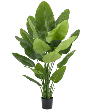 Artificial Plants