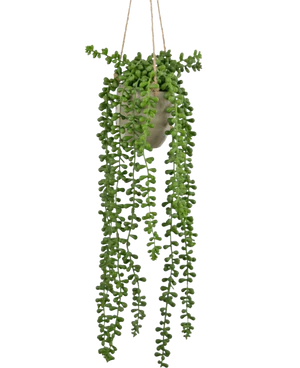 Artificial Hanging Plants