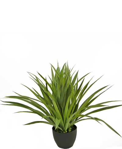 The Artificial Succulent Plant 40 cm is an artificial green, spiky houseplant in a black pot, against a plain white background.