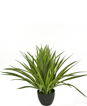 De Kunst Vetplant 40 cm is een kunstgroene, stekelige kamerplant in een zwarte pot, tegen een effen witte achtergrond.