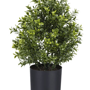 De Kunstplant Buxus Romeinse stijl UV 36cm is een compacte kunstplant in pot met dicht groen gebladerte, weergegeven in een eenvoudige zwarte ronde plantenbak tegen een effen witte achtergrond.