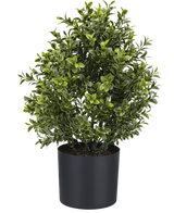 De Kunstplant Buxus Romeinse stijl UV 36cm is een weelderig groene kunstplant in pot met dichte, kleine bladeren in een eenvoudige zwarte ronde pot, perfect om groen toe te voegen aan elke ruimte.