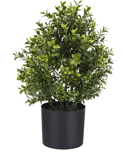 De Kunstplant Buxus Romeinse stijl UV 36cm is een weelderig groene kunstplant in pot met dichte, kleine bladeren in een eenvoudige zwarte ronde pot, perfect om groen toe te voegen aan elke ruimte.