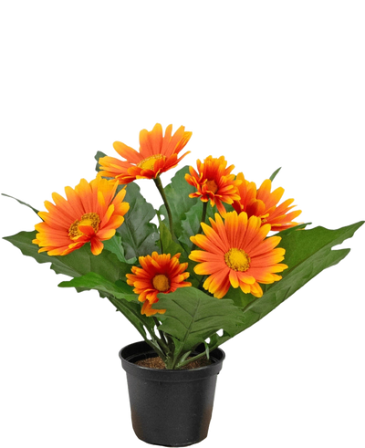 De Kunstplant Gerbera UV 28 cm oranje heeft kunstmatige oranje en gele margrietachtige bloemen met groene bladeren in een zwarte pot, perfect om elke ruimte op te fleuren.