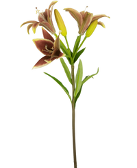 Artificial flower Asian Lily 66 cm old pink