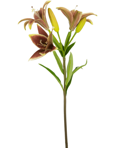De Kunstbloem Aziatische Lelie 66 cm oud roze heeft een enkele steel met drie roze kunstlelie bloemen-twee in bloei en een in knop-met groene bladeren, tegen een effen witte achtergrond.