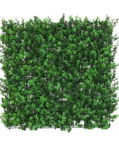 De Kunsthaag Buxus groen 50x50 cm UV is een vierkant paneel met dichte kunstgroene buxusbladeren, waardoor een weelderige haag ontstaat, van bovenaf gezien tegen een witte achtergrond.