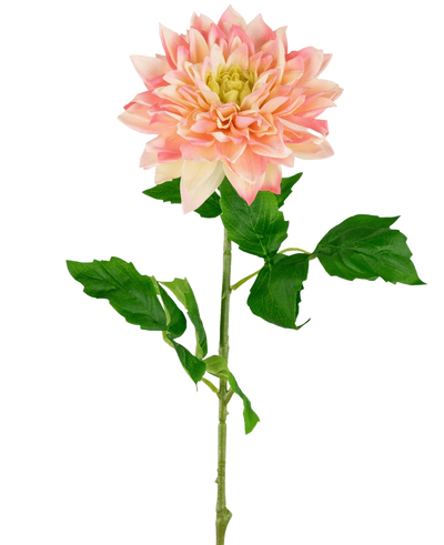 De Kunst Georgine Real Touch Geel/roze 70cm heeft een enkele kunstdahliasteel met zachtgele en roze bloemblaadjes en verschillende groene blaadjes, prachtig tegen een effen witte achtergrond.