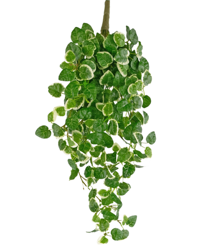 Kunsthangplant Pumila 50 cm