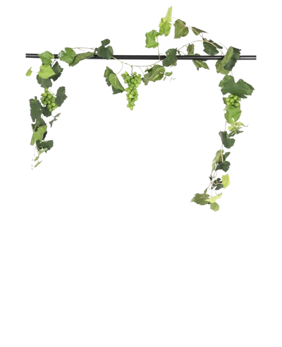 Een zwarte stang toont de Kunst Druiven guirlande brandvertragend 186 cm, met trossen groene druiven en weelderige bladeren, decoratief hangend tegen een effen witte achtergrond.