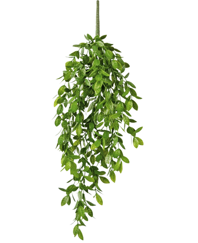 De Kunst hangplant Gardenia 61 cm is een kunst hangplant met weelderige, groene bladeren en een enkele zichtbare stengel, tegen een effen witte achtergrond.