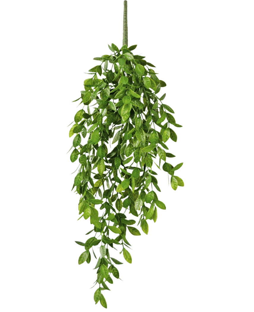 The Artificial hanging plant Gardenia 61 cm is an artificial hanging plant with lush, green leaves and a single visible stem, against a plain white background.