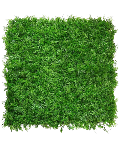De Kunsthaag varen/conifeer 50x50 cm is een dichte, vierkante mat van levendig groen gebladerte met kleine blaadjes, van bovenaf gezien op een witte achtergrond, die lijkt op een weelderige, natuurlijke groene haag met een gelijkmatig, gestructureerd oppervlak.