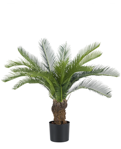 De Kunstplant Cycaspalm 80 cm heeft lange, gebogen groene palmvaren en een dikke, gestructureerde stam. De plant staat in een eenvoudige zwarte pot tegen een effen witte achtergrond.