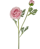 De Kunstranonkel Real Touch Roze 60cm heeft een enkele steel met een volledig uitgebloeide roze ranonkel en een gesloten knop, geaccentueerd door groene, diep gelobde bladeren, alles tegen een witte achtergrond.