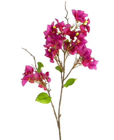 De Kunstbloem Bougainvillea 90 cm paars heeft levendige magenta-paarse bloemen en groene bladeren op slanke bruine stelen, tegen een effen witte achtergrond.