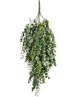 De Kunst hangplant Eucalyptus 76 cm heeft dichte, trapsgewijze kunstmatige eucalyptusbladeren met ronde en ovale vormen, perfect om groen toe te voegen aan elke ruimte.