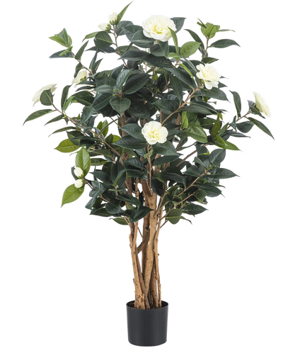 De Kunstplant Camellia japonica 100 cm heeft meerdere hoge bruine stelen, donkergroene bladeren en witte kunstbloemen tegen een effen witte achtergrond.