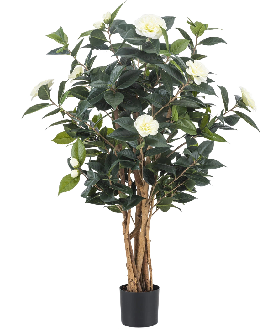 The Artificial Plant Camellia japonica 100 cm has several tall brown stems, dark green leaves and white artificial flowers against a plain white background.