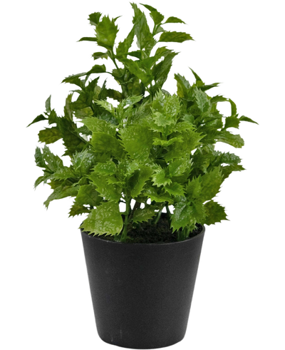 Kunstplant Perilla 25 cm: Een levendige groene bladplant met gekartelde randen in een eenvoudige zwarte pot, perfect om een vleugje natuur toe te voegen aan elke kamer.