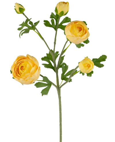 The Artificial Ranunculus branch x5 Real Touch yellow 62cm has a single green stem with multiple yellow ranunculus and buds, accentuated by green leaves, against a white background.