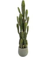 De Kunst Cactus 100 cm heeft een hoog groen ontwerp met meerdere rechtopstaande armen en een gestructureerd oppervlak, weergegeven in een ronde grijze pot.