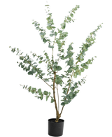 De Kunstplant Eucalyptus 150 cm is een hoge kunst eucalyptus in pot met lange, slanke takken en ronde, zilvergroene bladeren, tegen een effen witte achtergrond.