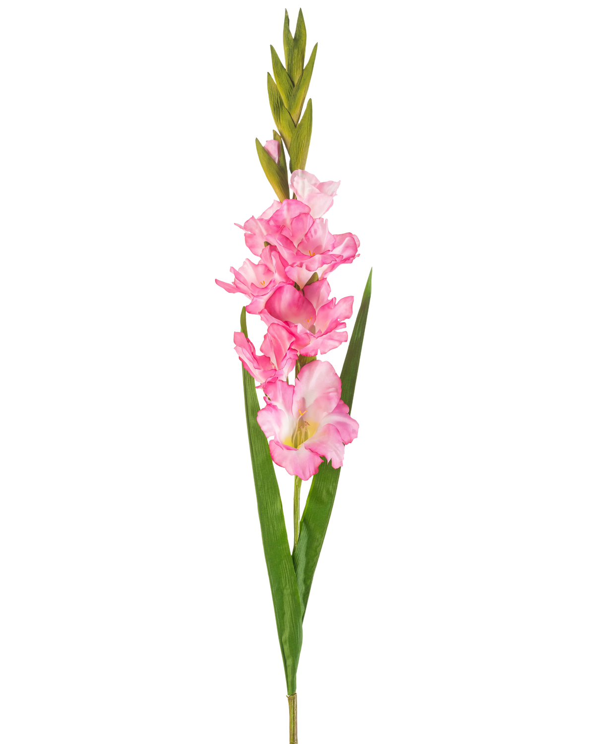 A single Artificial Flower Gladiolus 93 cm bright pink with multiple bright pink blossoms and buds, paired with long green leaves, on a white background.
