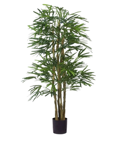 De Kunstplant Lady Palm 150 cm brandvertragend heeft slanke groene bladeren en meerdere dunne, bruine stengels in een kleine zwarte pot, tegen een effen witte achtergrond.
