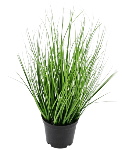 De Kunst Grasplant Ui 33 cm (brandvertragend) heeft lange, dunne, groene grasachtige bladeren in een kleine zwarte pot, tegen een effen witte achtergrond.