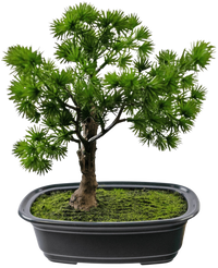 Artificial Plant Bonsai Juniper 20 cm