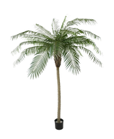 The Artificial Palm Phoenix De Luxe 210 cm has long, curved green leaves and a structured trunk, in a small black pot against a plain white background.