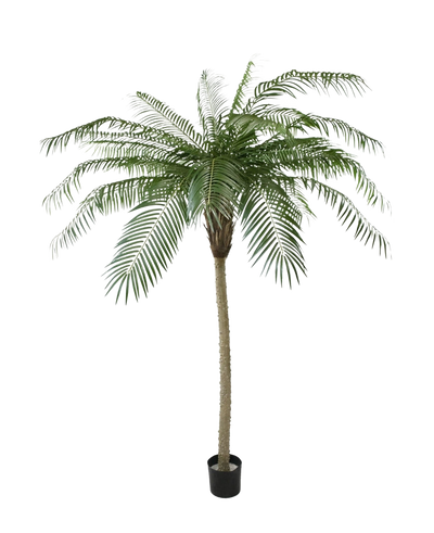 The Artificial Palm Phoenix De Luxe 210 cm has long, curved green leaves and a structured trunk, in a small black pot against a plain white background.