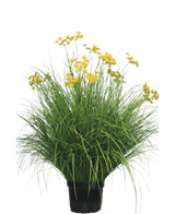 De Kunst Grasplant Asteraceae 100 cm brandvertragend heeft lange, smalle bladeren en trossen heldergele bloemen op hoge stelen. Deze onderhoudsvrije plant staat prachtig in elk interieur tegen een witte achtergrond.