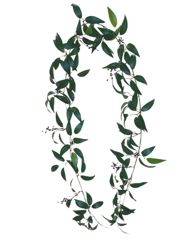 The Artificial Smilax Garland 180cm is a wreath in the shape of the letter O, made of long green leafy branches with small bunches of dark berries against a plain white background.