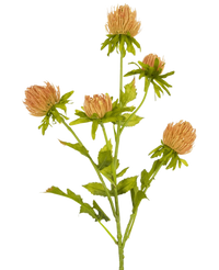 Artificial flower Thistle 66 cm peach