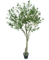 The Artificial Olive Tree 200 cm has a slender light brown trunk, numerous green leaves and small dark olives on the branches. This artificial olive tree looks lifelike against a white background.