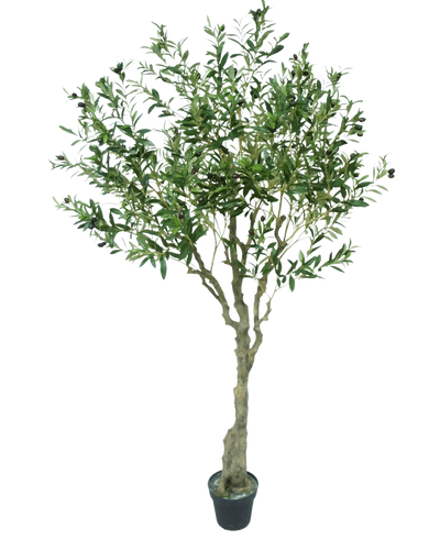The Artificial Olive Tree 200 cm has a slender light brown trunk, numerous green leaves and small dark olives on the branches. This artificial olive tree looks lifelike against a white background.